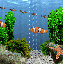 aquarium