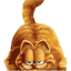 le chat