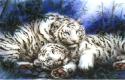 tigre
